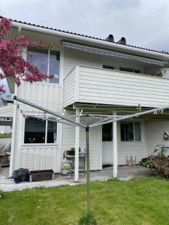 Image from job nr 1