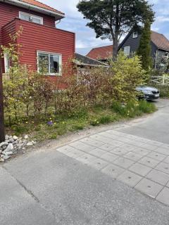 Image from job nr 2