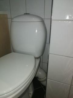 Image from job nr 1
