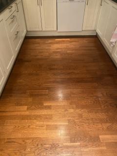 Image from job nr 1