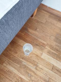 Image from job nr 4