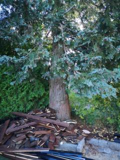 Image from job nr 1