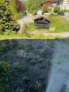 Image from job nr 6
