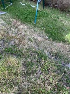 Image from job nr 4