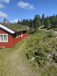 Image from job nr 1