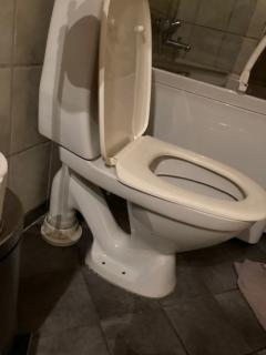 Image from job nr 1