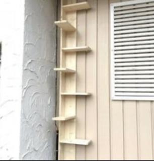 Image from job nr 2