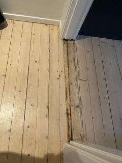 Image from job nr 2