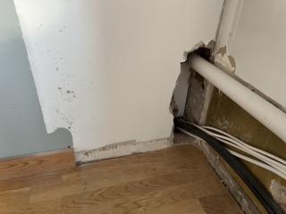 Image from job nr 2
