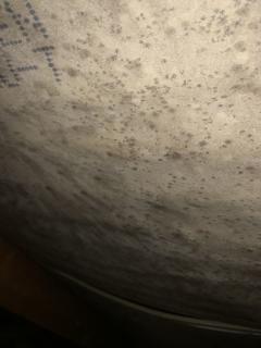 Image from job nr 1