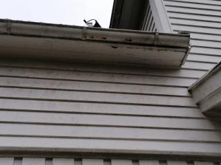 Image from job nr 1