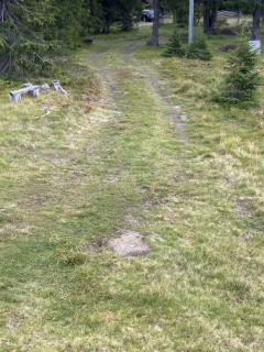 Image from job nr 5