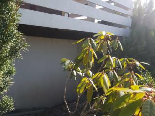 Image from job nr 2