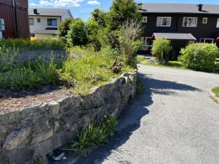 Image from job nr 2