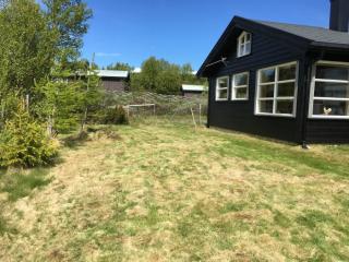 Image from job nr 1