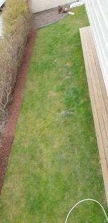 Image from job nr 2