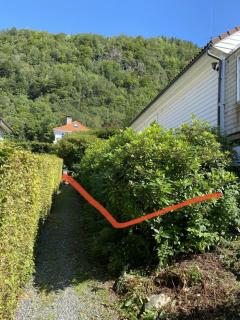 Image from job nr 6