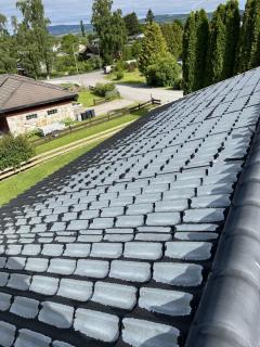 Image from job nr 1