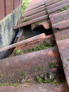 Image from job nr 2