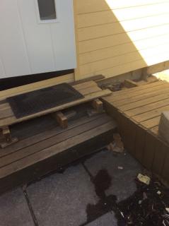 Image from job nr 1