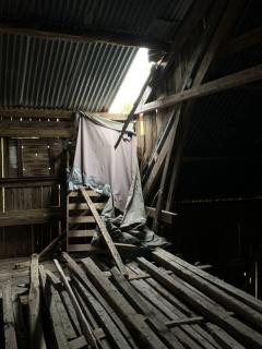 Image from job nr 1