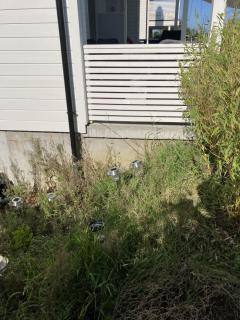 Image from job nr 3