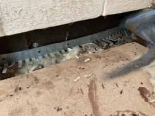 Image from job nr 2