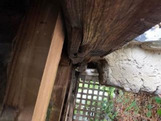 Image from job nr 6