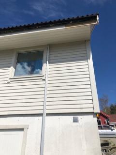 Image from job nr 1