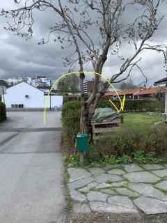 Image from job nr 2