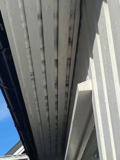 Image from job nr 2