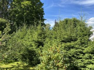 Image from job nr 2