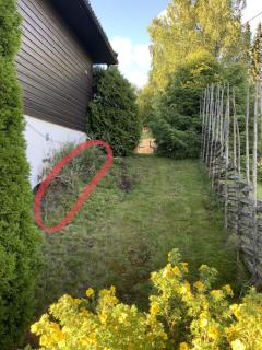 Busker graves opp (markert i ru00f8dt) -hele omru00e5de avtettes/planeres med jord