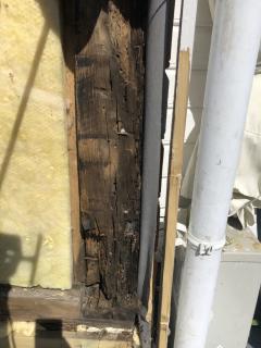Image from job nr 1