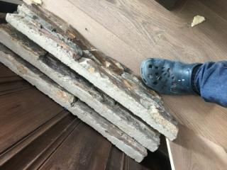 Image from job nr 1