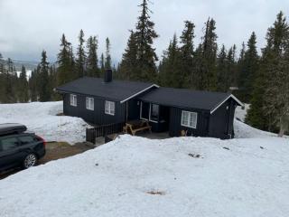 Image from job nr 1