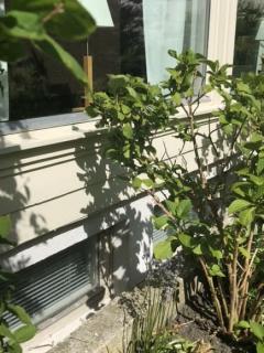 Image from job nr 1