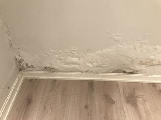 Image from job nr 1