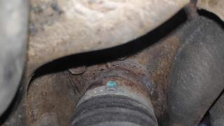 Image from job nr 1