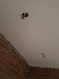 Image from job nr 1