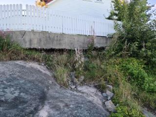 Image from job nr 1