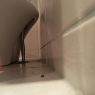 Image from job nr 2
