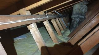 Image from job nr 6