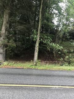 Image from job nr 1