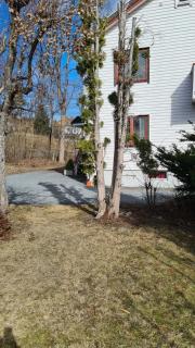 Image from job nr 3