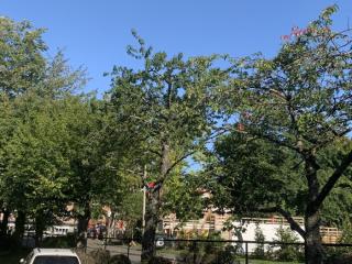 Image from job nr 1