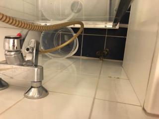 Image from job nr 4