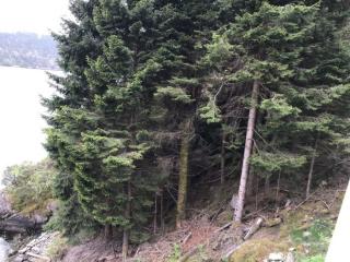 Image from job nr 2