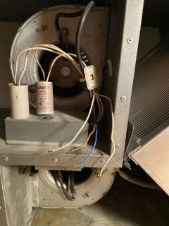 Image from job nr 1
