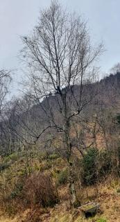 Image from job nr 3